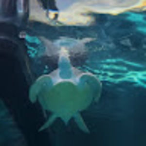 Meet your Posher, Bryonna